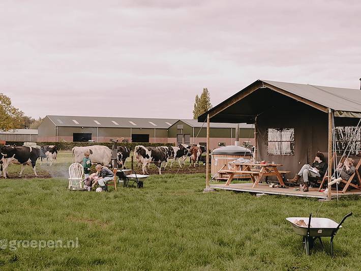 Glamping voor 30 personen in Noord-Brabant