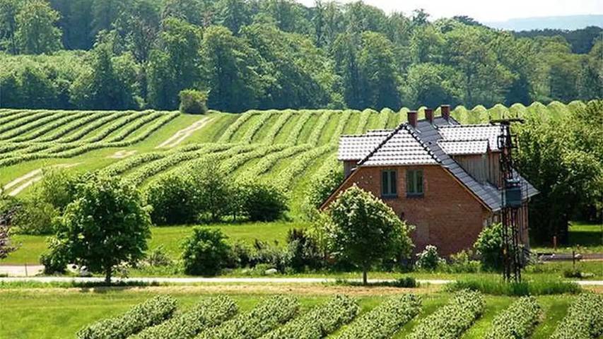 Ferienwohnung für 5 Personen, mit Garten in Malchin - 2