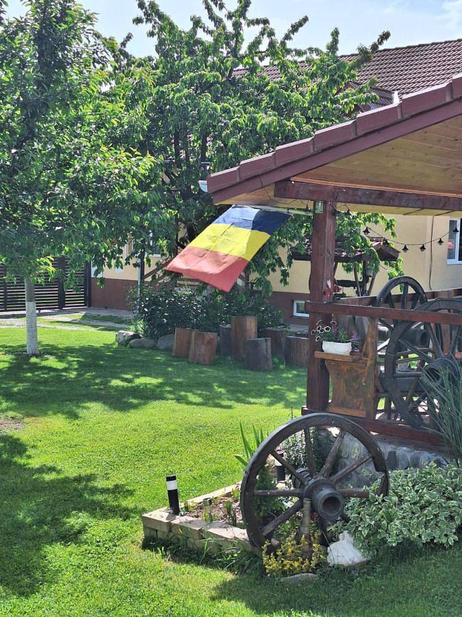 Maison d’hôte pour 4 personnes, avec jardin et vue dans Porumbacu de Sus - 3