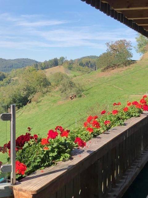 Gîte pour 9 personnes, avec Balcon et Terrasse ainsi que Jardin et Vue à Mühlenbach - 4