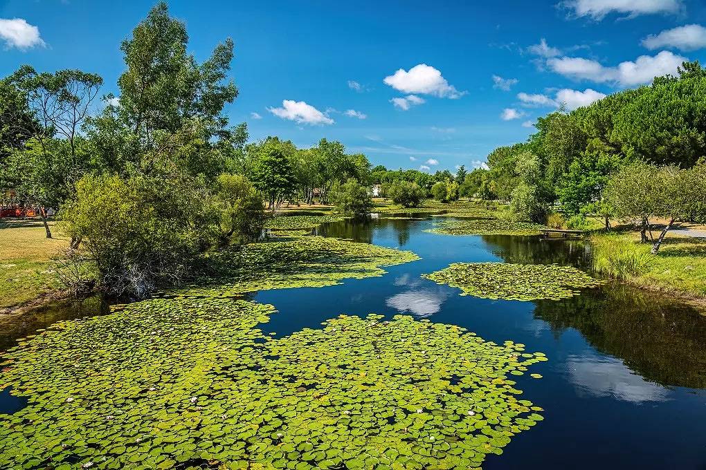 Mobilheim Cosy Tv Clim Wifi - 2 chb - 4 Anzeigen + 1 enf -10 in Hourtin, Regionaler Naturpark Médoc