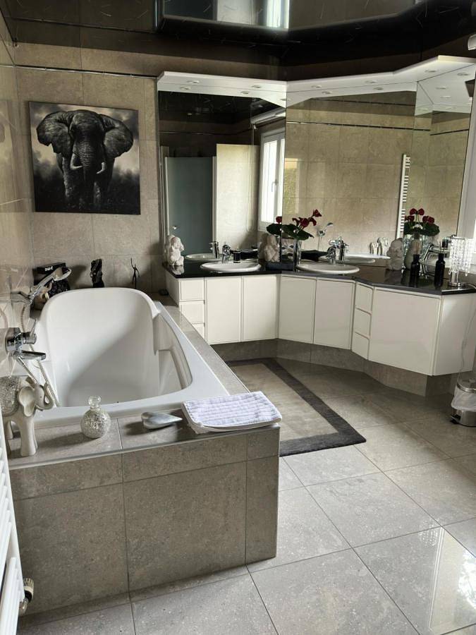 Location de vacances pour 6 personnes, avec jardin et vue dans Ensisheim - 4