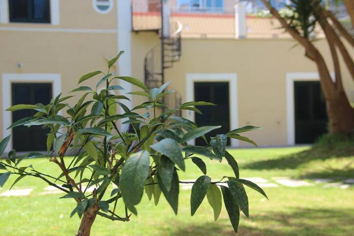 B&B für 3 Personen, mit Garten und Ausblick, kinderfreundlich in Palermo - 2