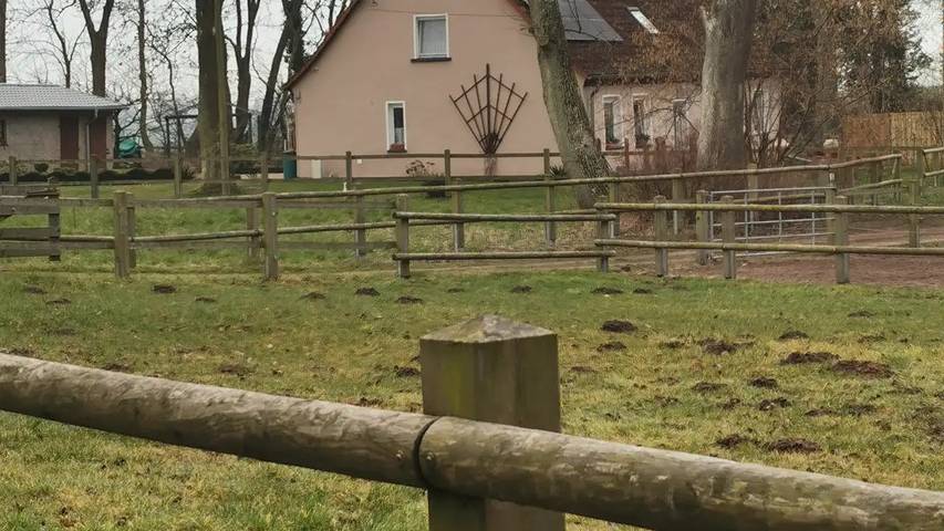 Ferienwohnung für 4 Personen, mit Garten in Garz/Rügen - 2