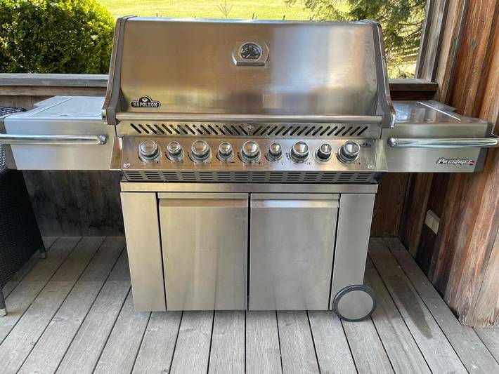 Ferienhaus für 10 Personen, mit Ausblick und Garten, mit Haustier in der Oststeiermark - 4