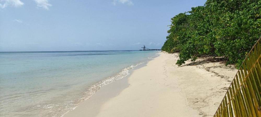 Location de vacances pour 2 personnes, avec jardin et terrasse dans Saint-Louis (Marie-Galante) - 3