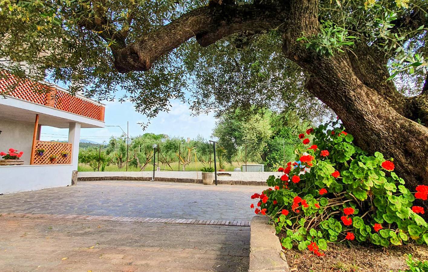 Appartement de vacances entier, Appartement en bord de mer avec WiFi et parking in Cilento