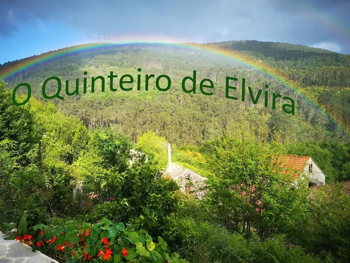 Apartamento de vacaciones para 3 personas, con vistas y jardín - 1