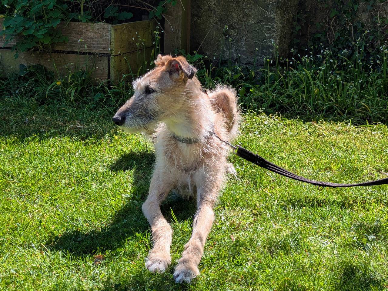 Wonderland in Tweedmouth, Northumberland