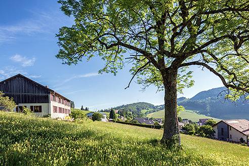 Chambre d’amis pour 4 personnes, avec sauna et jardin