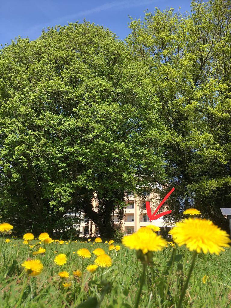 Ganze Ferienwohnung, Seeblick Appartement Bill - 1-Zimmer-Fewo, 20 m², 1. Etage in Radolfzell, Radolfzell am Bodensee