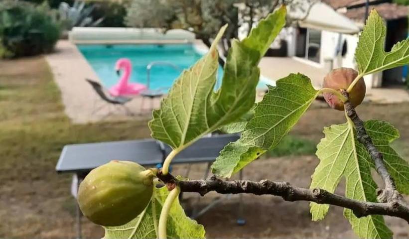 Appartement de vacances pour 3 personnes, avec vue ainsi que jardin et piscine