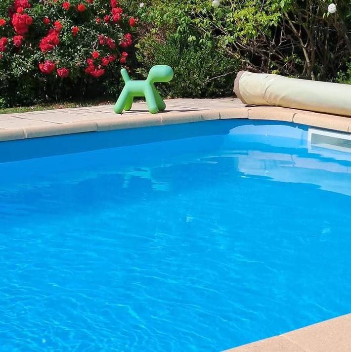 Location de vacances pour 6 personnes, avec piscine ainsi que vue et terrasse, animaux acceptés à Dauphin (homonymie) - 4