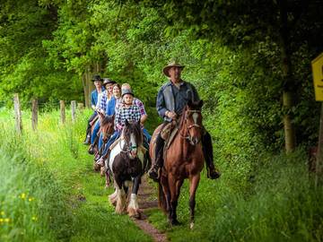 Bauernhof für 6 Personen in Urnshausen, Thüringische Rhön, Bild 1