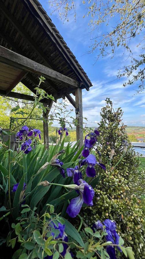 Location de vacances pour 2 personnes, avec piscine ainsi que jardin et vue à Martel - 2