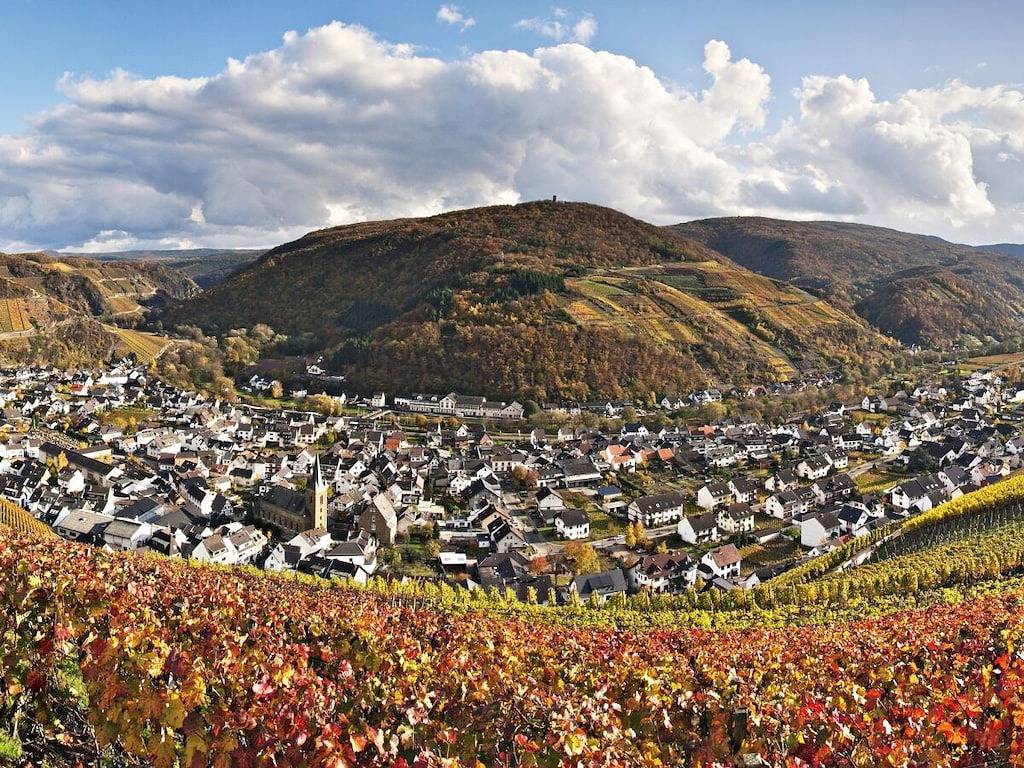 Ganze Wohnung, Hardtbergfamily in Dernau, Ahrtal