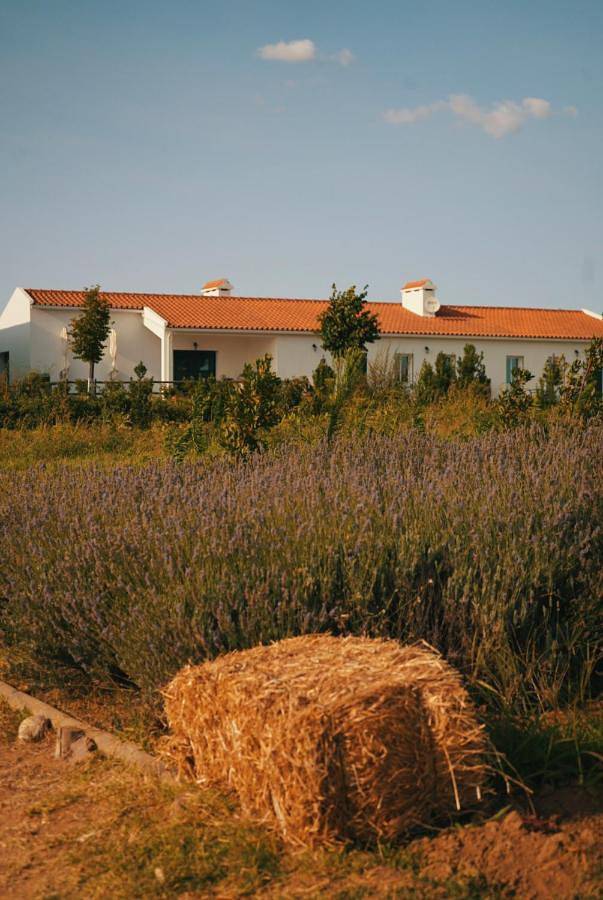 Monte de Palma- Quinta Biodinâmica Momentos Únicos in Évora, Distrito de Évora