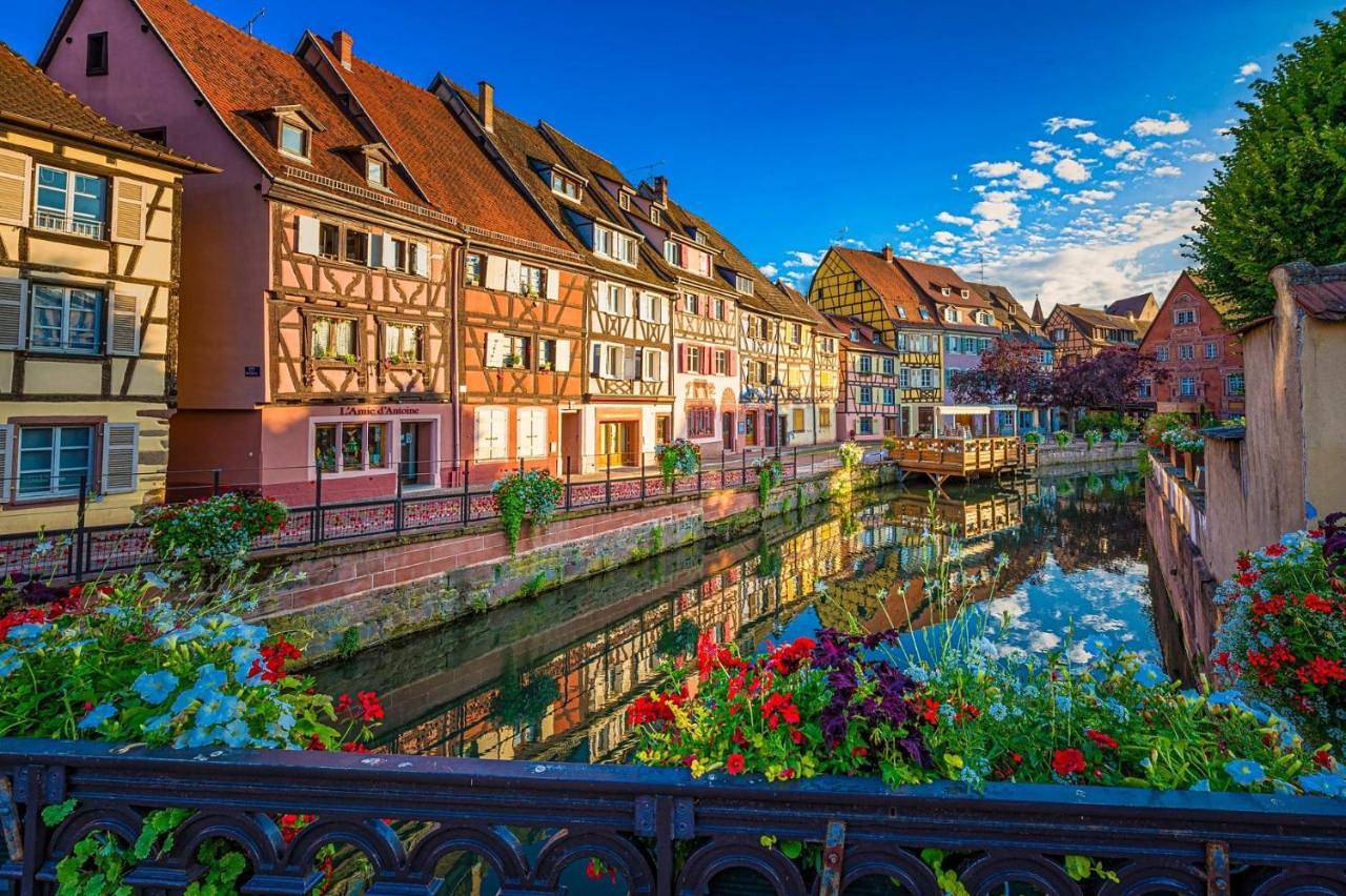 Gîte Mozart - Rez de jardin in Colmar, Colmar und Umgebung