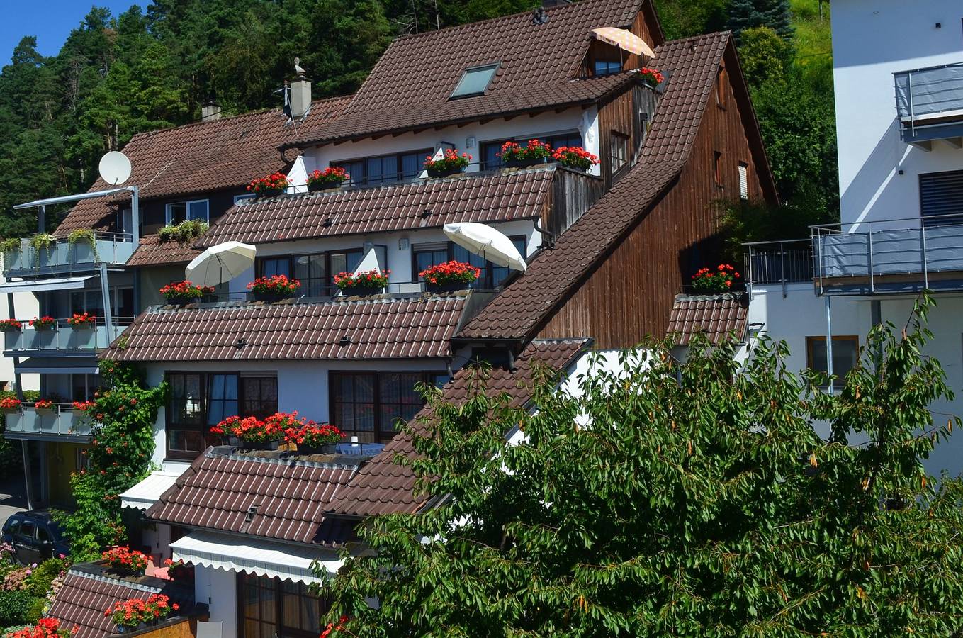 Pension Regenscheit - Appartement mit Dusche und Wc in Sipplingen, Region Bodensee-Oberschwaben