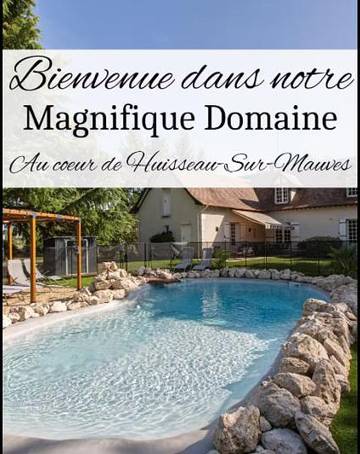 Gîte pour 18 personnes, avec jacuzzi ainsi que jardin et piscine, adapté aux familles à Huisseau-sur-Mauves