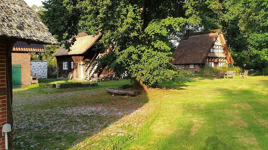 Ferienhaus für 2 Personen, mit Garten, mit Haustier in Bispingen - 3