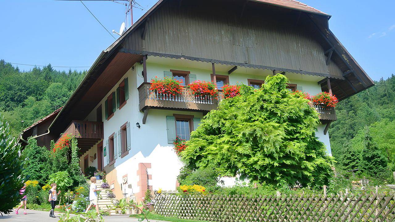 Ganze Ferienwohnung, Ferienwohnung für 5 Personen (80 m²) in Seelbach in Seelbach, Mittlerer Schwarzwald