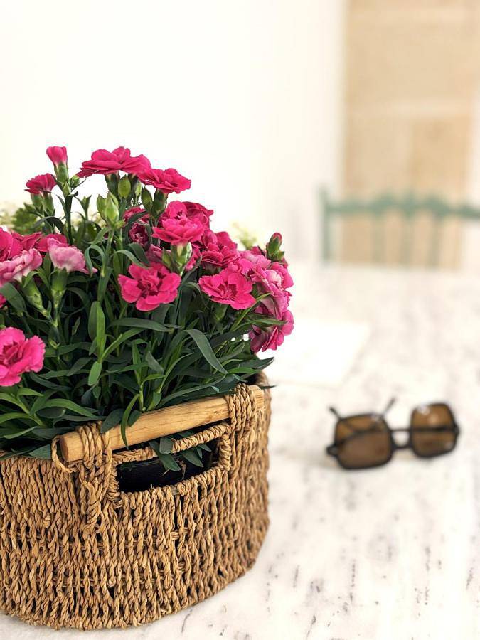 La Vetrana Rooms by Jdvacanze in Avetrana, Golfo di Taranto