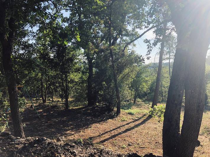 Gîte pour 6 personnes, avec piscine à Saint-Paul-en-Forêt - 3