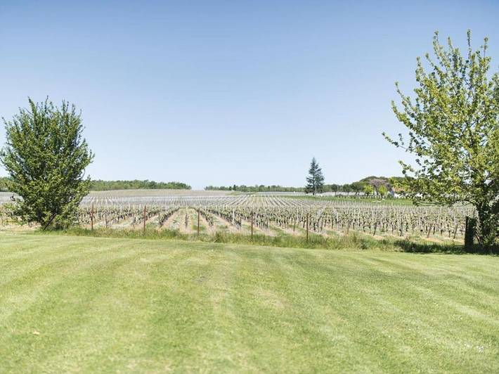 Gîte pour 2 personnes, avec piscine et terrasse à Moulis-en-Médoc - 4