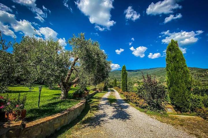 "Villa Stefania" Antica fattoria toscana - Ottima vista su Cortona in Cegliolo, Cortona