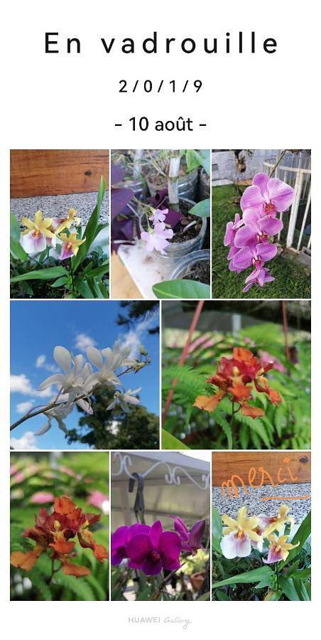 Gîte pour 2 personnes, avec terrasse ainsi que vue et jardin à Morne-à-l'Eau - 3