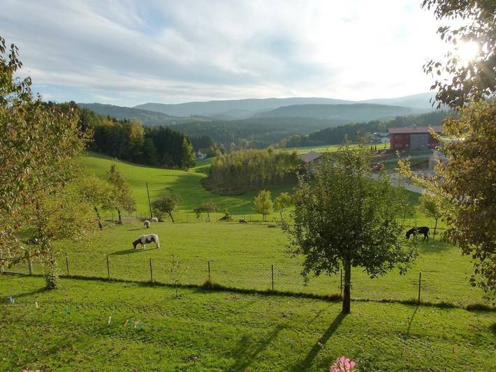 Ganze Wohnung, Ferienwohnungen Weghofer **** - Ferienwohnung Obstgarten (65 qm) mit Balkon in Viechtach, Ostbayern