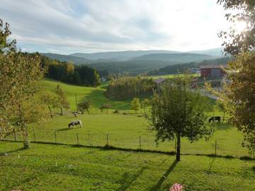 Ferienhaus für 4 Personen in Viechtach, Niederbayern, Bild 4