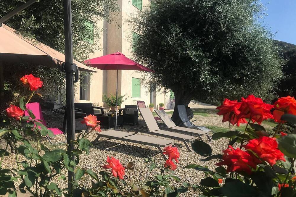 L'Alivetu - Farinole in Farinole, Calvi und Umgebung