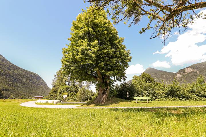 Ferienwohnung für 4 Personen, mit Terrasse und Seeblick in Oberaudorf - 4