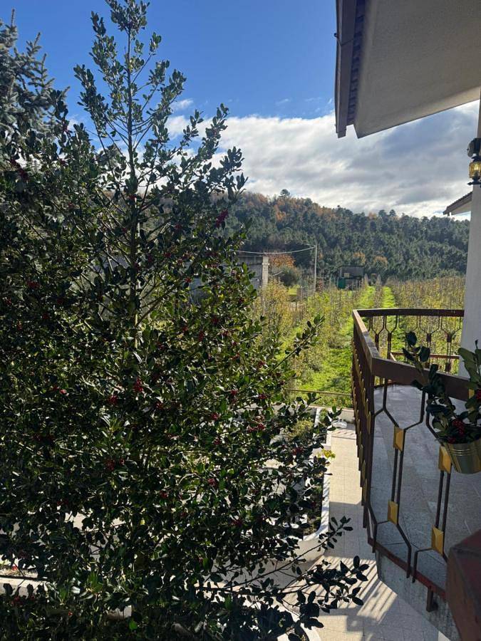 Location de vacances pour 10 personnes, avec vue et jardin à Lamego - 4