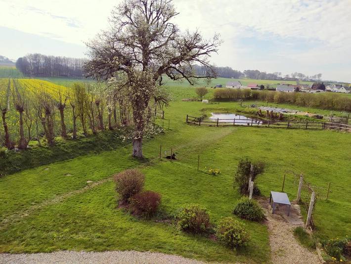 Location de vacances pour 3 personnes, avec vue et jardin à Maniquerville - 2