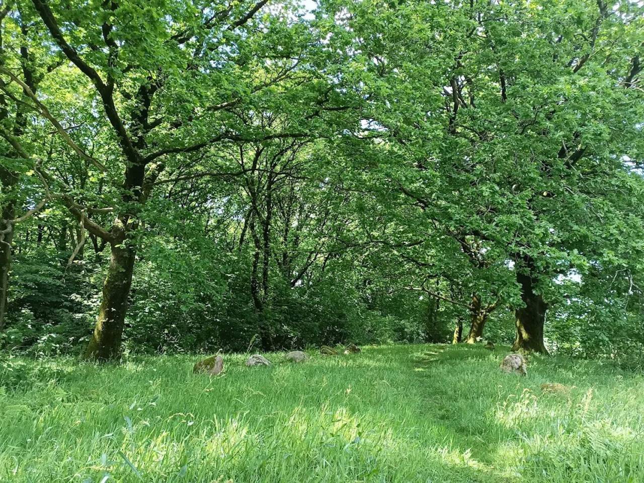 6 Personen Ferienhaus in Hovborg in Hovborg, Vejen