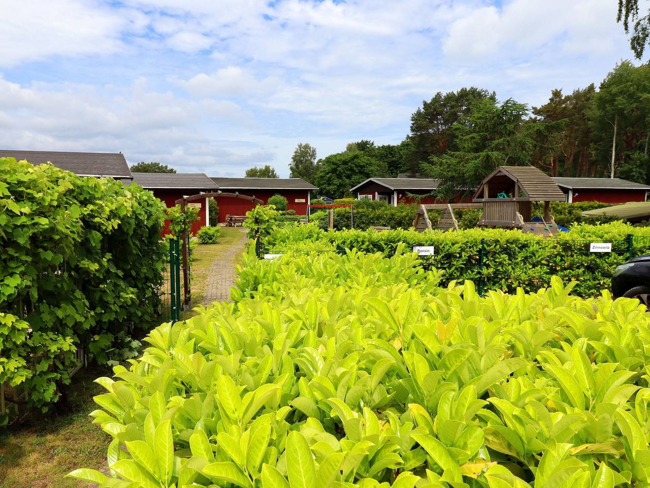 Ferienhäuser Räuberkuhle 1 - Haus Bansin Tui in Koserow, Bernsteinbäder