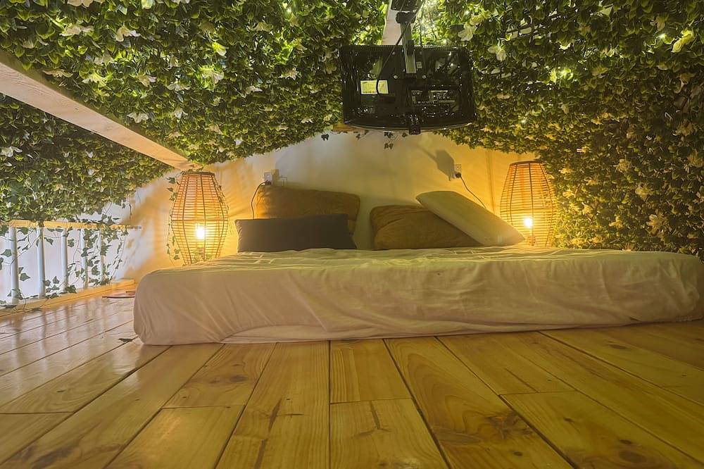 Appartement entier, F1 cocooning extrêmement calme accès forêt tout confort in Saint-Vallier-de-Thiey, Région de Cannes
