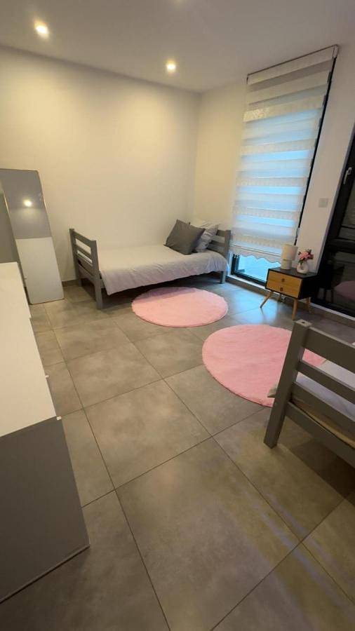 Location de vacances pour 9 personnes, avec jacuzzi et terrasse à Herrlisheim-près-Colmar - 4