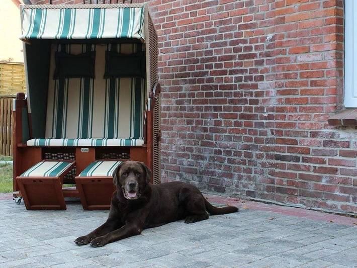 Ferienhaus für 2 Personen, mit Terrasse und Garten in Großheide - 3