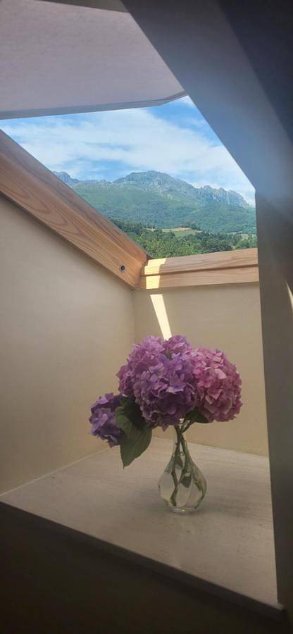 Gîte pour 4 personnes, avec vue dans Arenas de Cabrales - 3