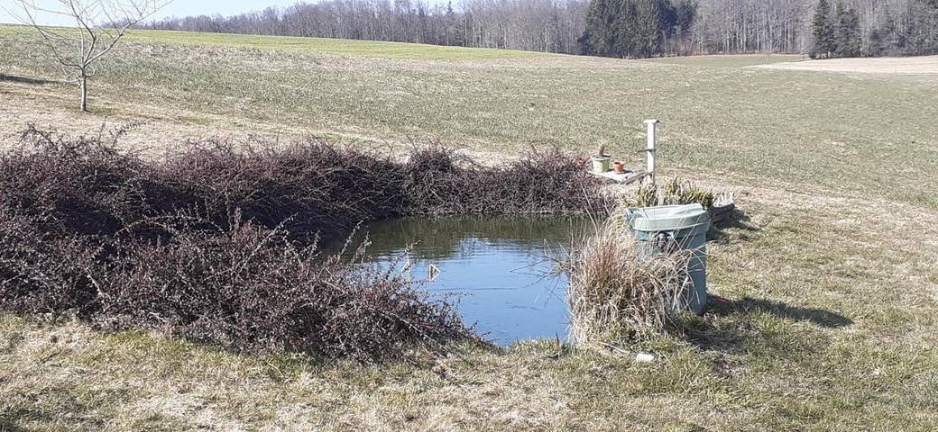 Location de vacances pour 2 personnes, avec jardin et vue à Bellefontaine (Vosges) - 3