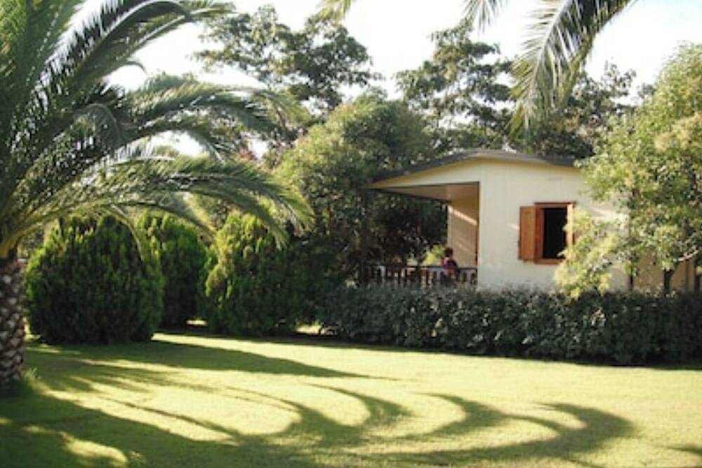 Chalet rental in the heart of nature  in Moriani-Plage, Corte e dintorni