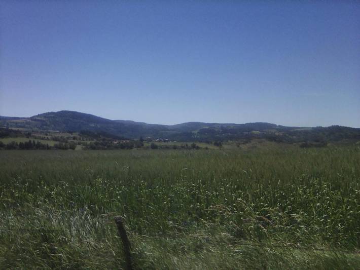 Location de vacances pour 5 personnes, avec terrasse et vue, animaux acceptés à Saint-Haon