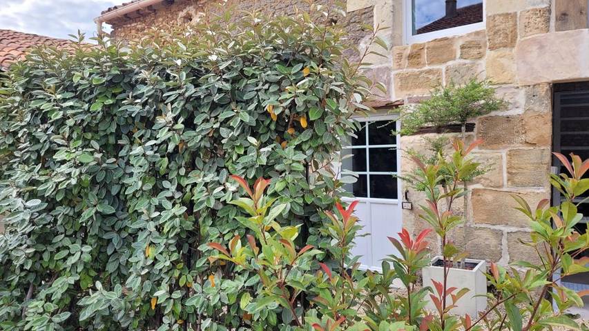 Maison d’hôte pour 2 personnes, avec jardin ainsi que vue et terrasse à Les Verchers-sur-Layon