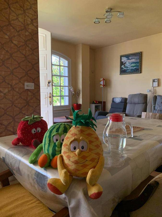 Apartamento de vacaciones para 2 personas, con vistas y jardín - 1