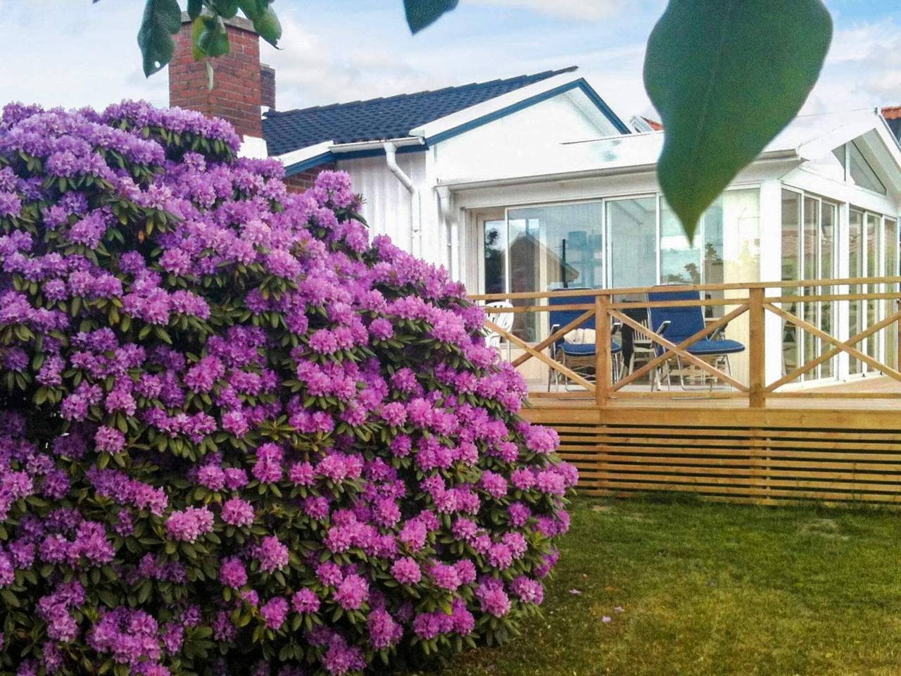 4 stjarniga stuga i Skåne/Vejbystrand in Bjärehalvön