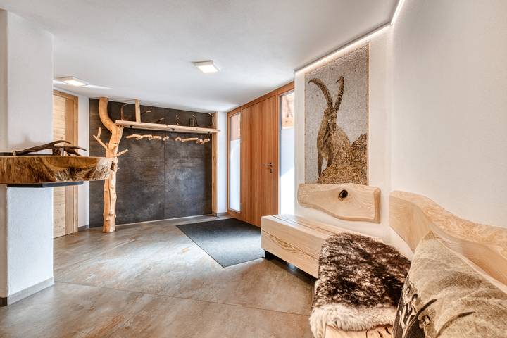 Ferienhaus für 6 Personen, mit Sauna und Garten sowie Whirlpool in Dalaas - 4